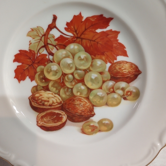 Set of 2 Vintage Fruit & Nut Designs Plates Winterling Roslau Bavaria Germany - Picture 6 of 10